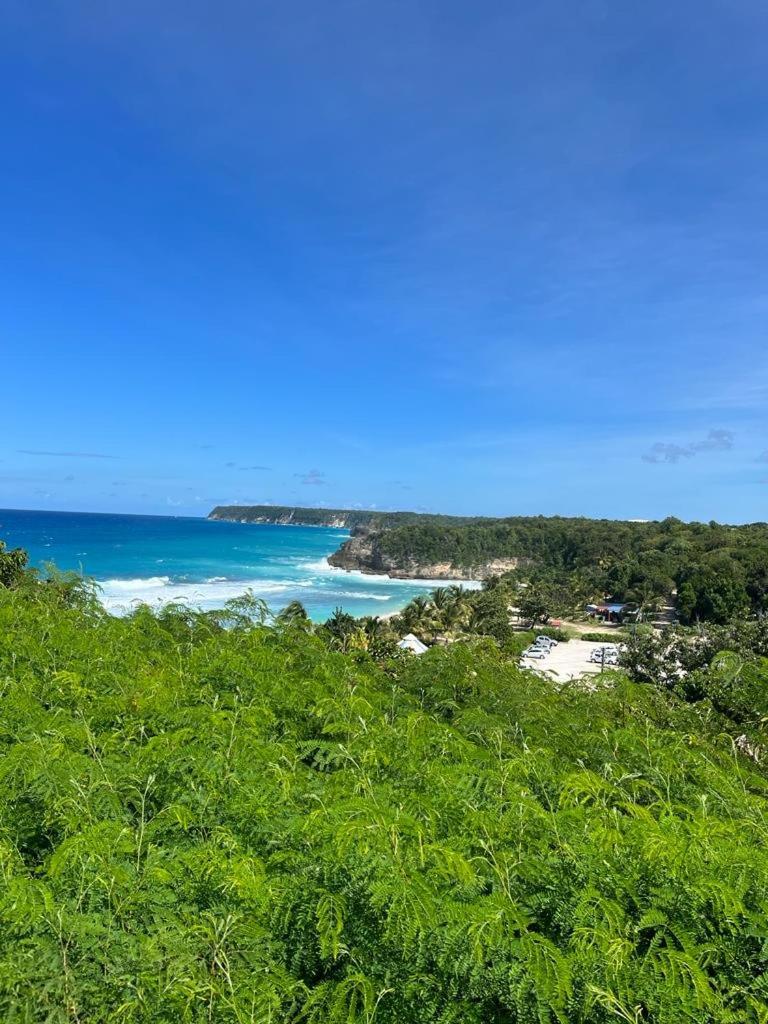  La Kaz A Coyoky Villa Anse-Bertrand Exterior photo